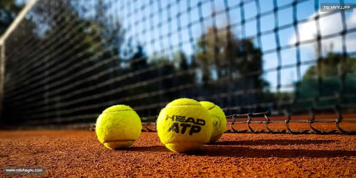 sg胜游亚洲体育——活力点燃赛场,运动成就每一刻!🏃♂️